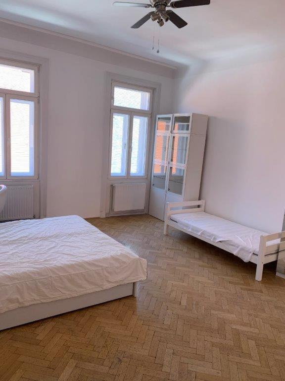 Air-conditioned Large Appartement Vienne